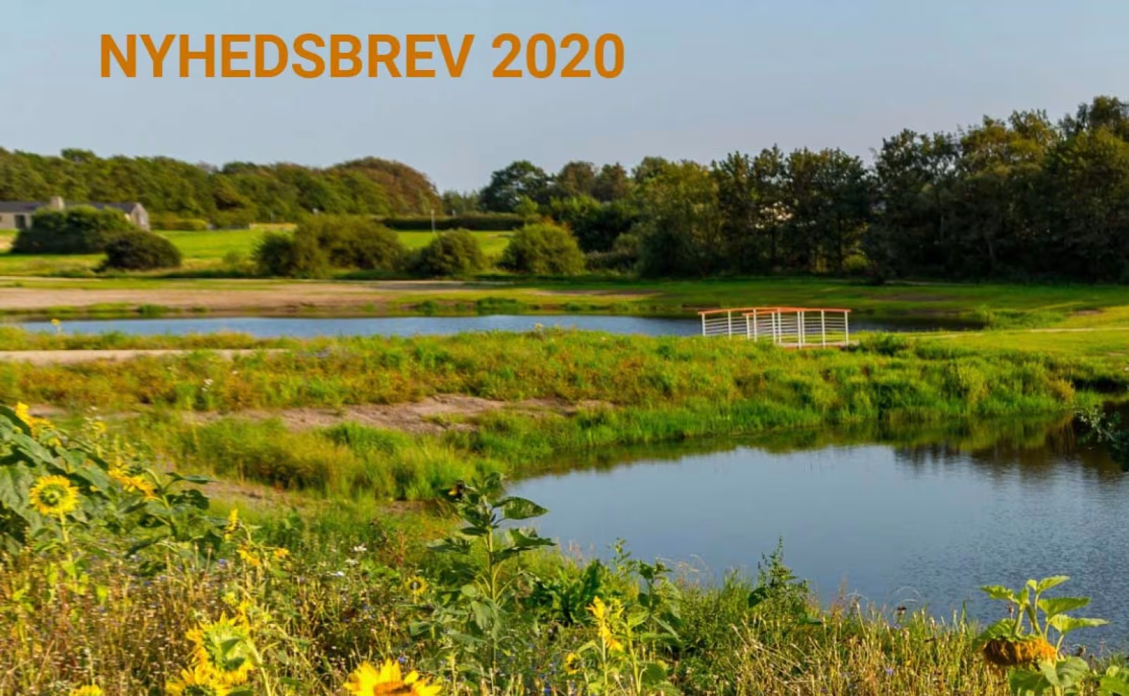 Nyhedsbrev 2020