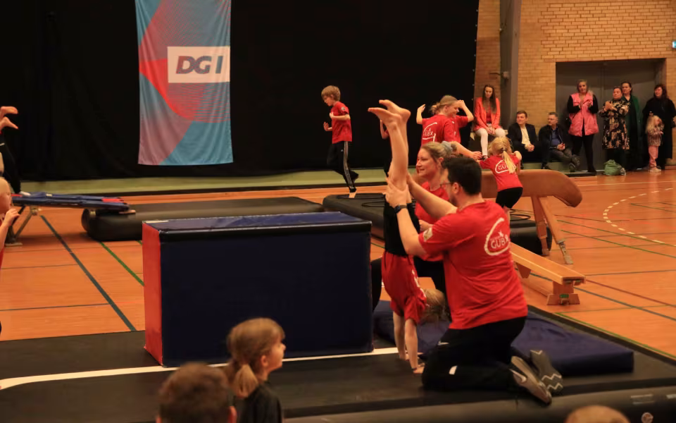 Stor succes ved DGI's opvisning