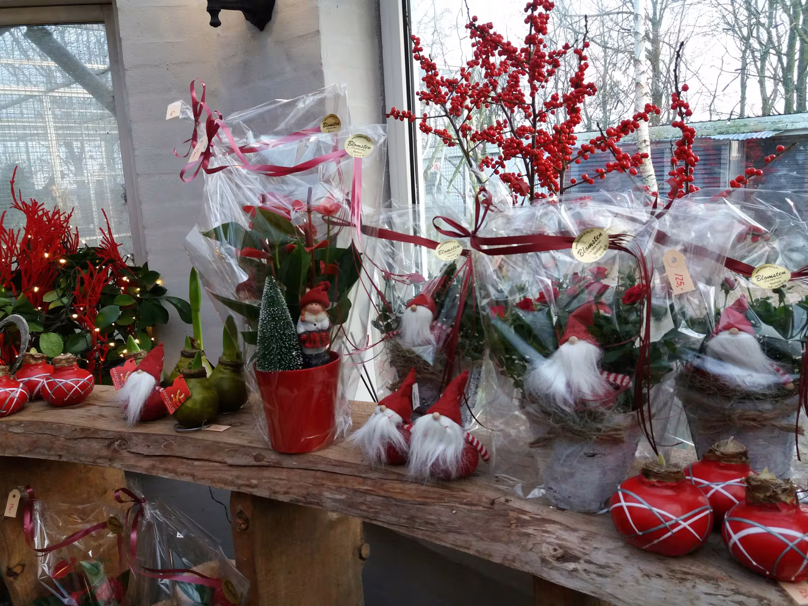 Jul hos Blomsten i Skovlund