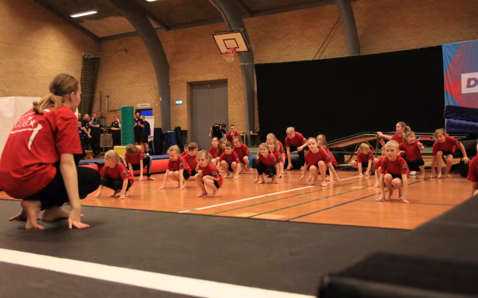 Stor succes ved DGI's opvisning