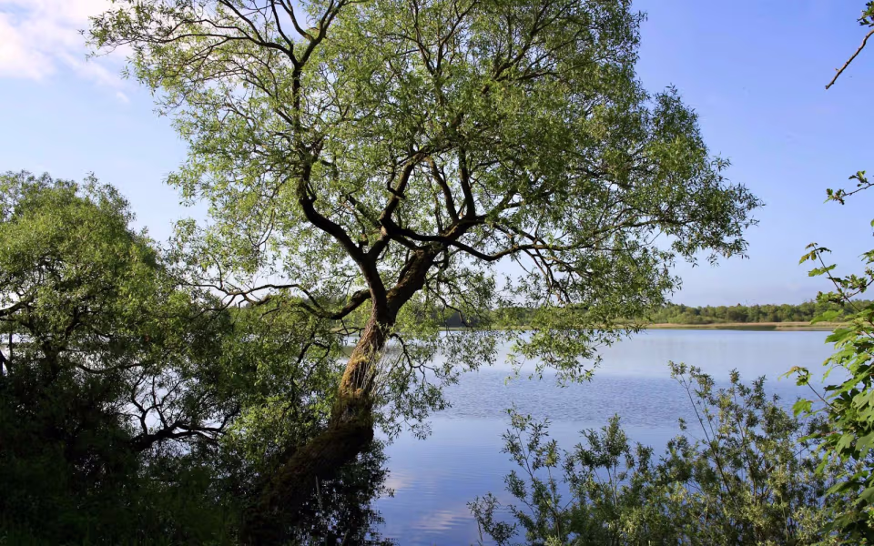 Morgenro ved Karlsgårde Sø