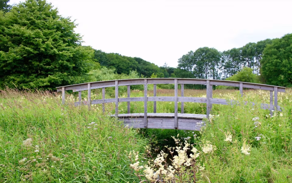 Hornes Vikingelund et paradis