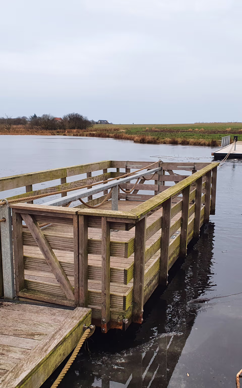 Træbro over isdækket vand i Naturbydelen i Ringkøbing