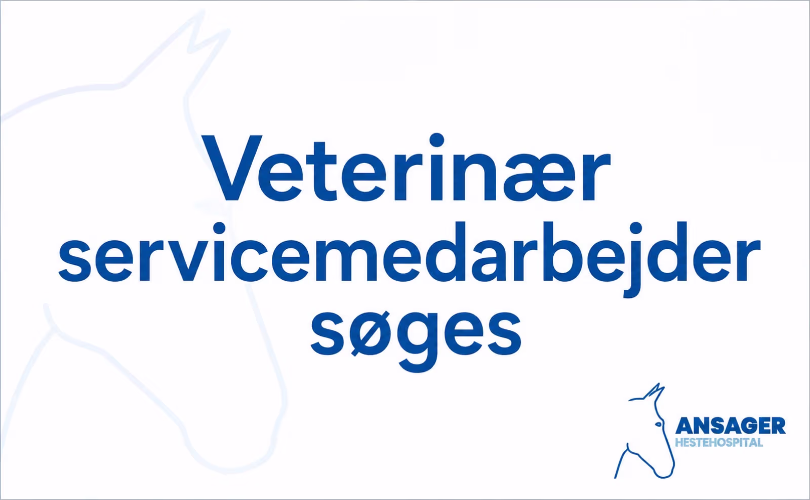 Veterinær servicemedarbejder søges til hestehospital