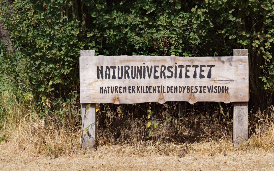 ”Naturuniversitetet” i Starup, som ligger ved Holme Å, rummer formidling af områdets natur- og kulturhistorie samt overnatningspladser. Naturuniversitetet får 194.000 kr. til renovering og ombygning af servicebygningen med handikaptoilet, køkken og depot.