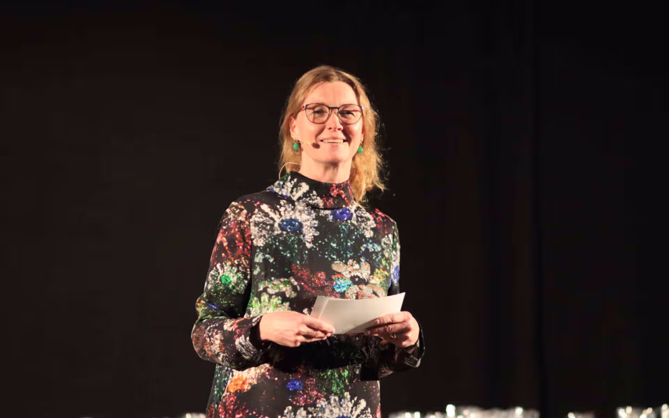 Årets mestre fejret i Varde kommune