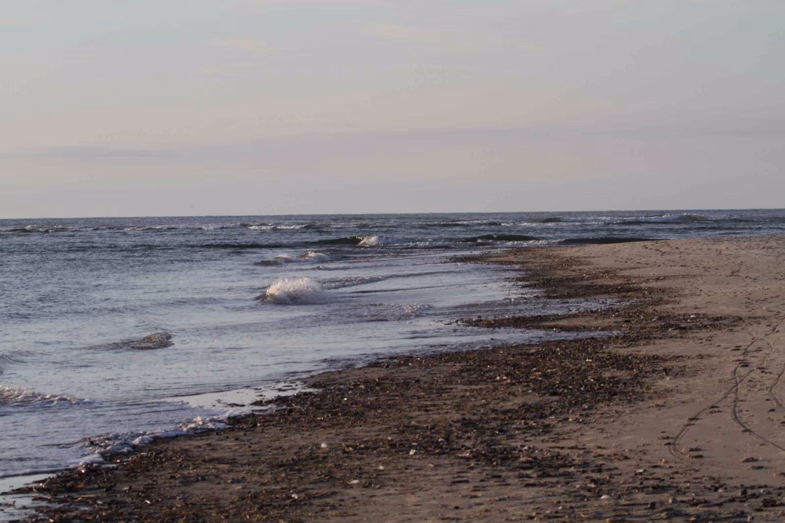 Nytårsbadning ved Henne Strand!