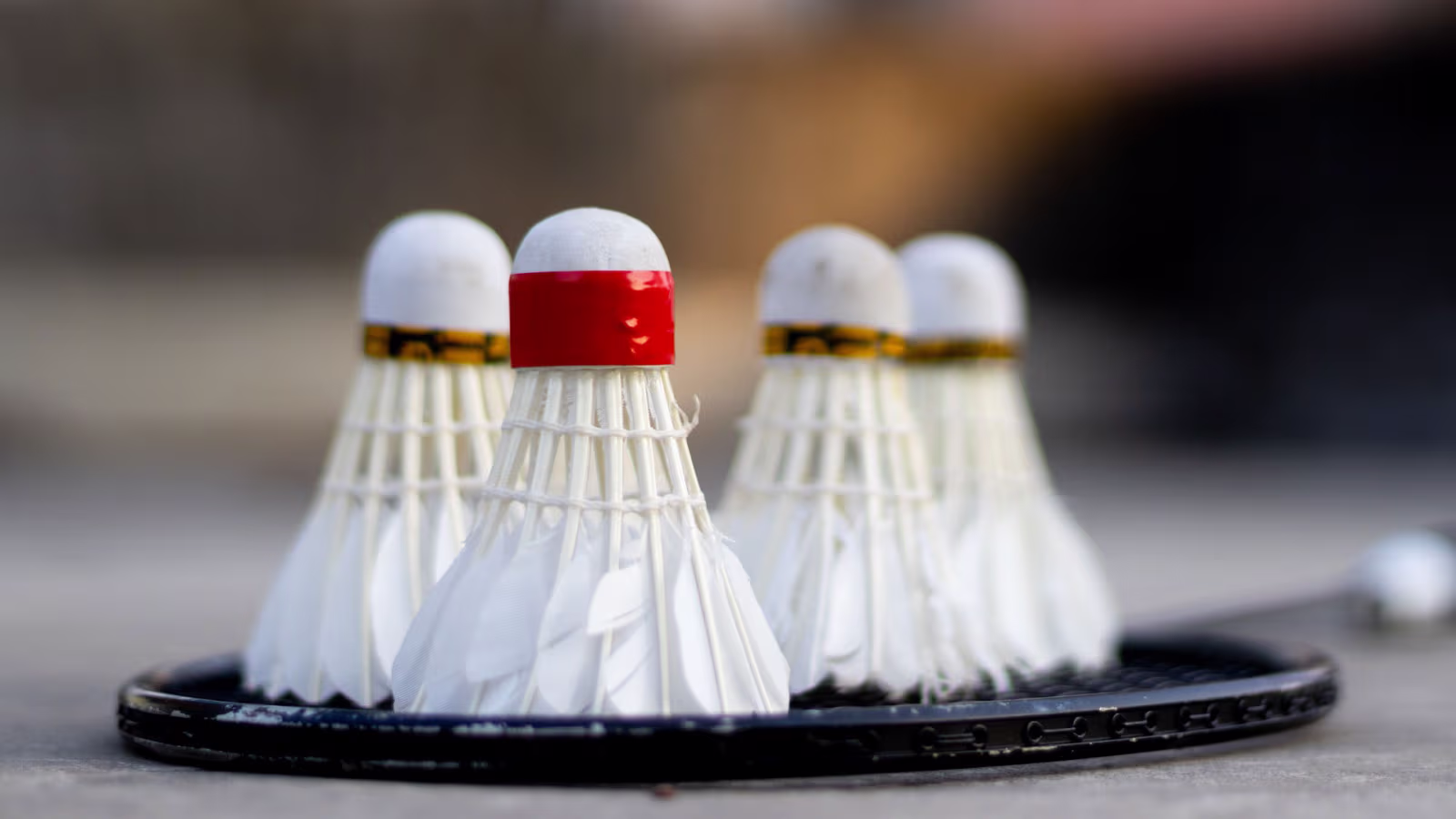 Så er vi klar til badminton opstart.