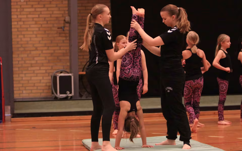 Stor succes ved DGI's opvisning