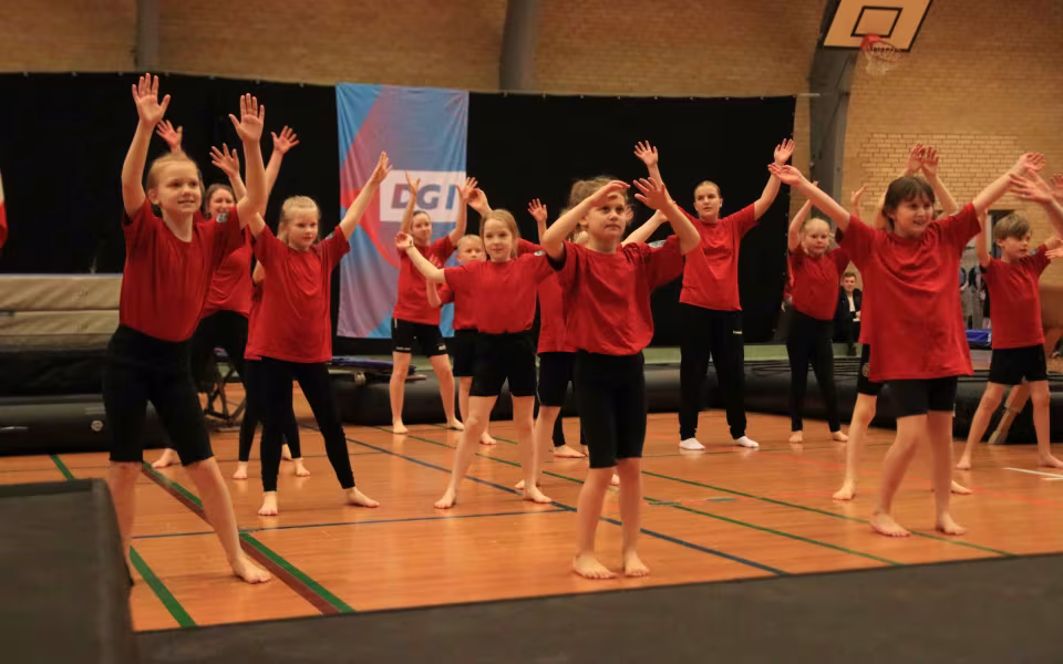 Stor succes ved DGI's opvisning