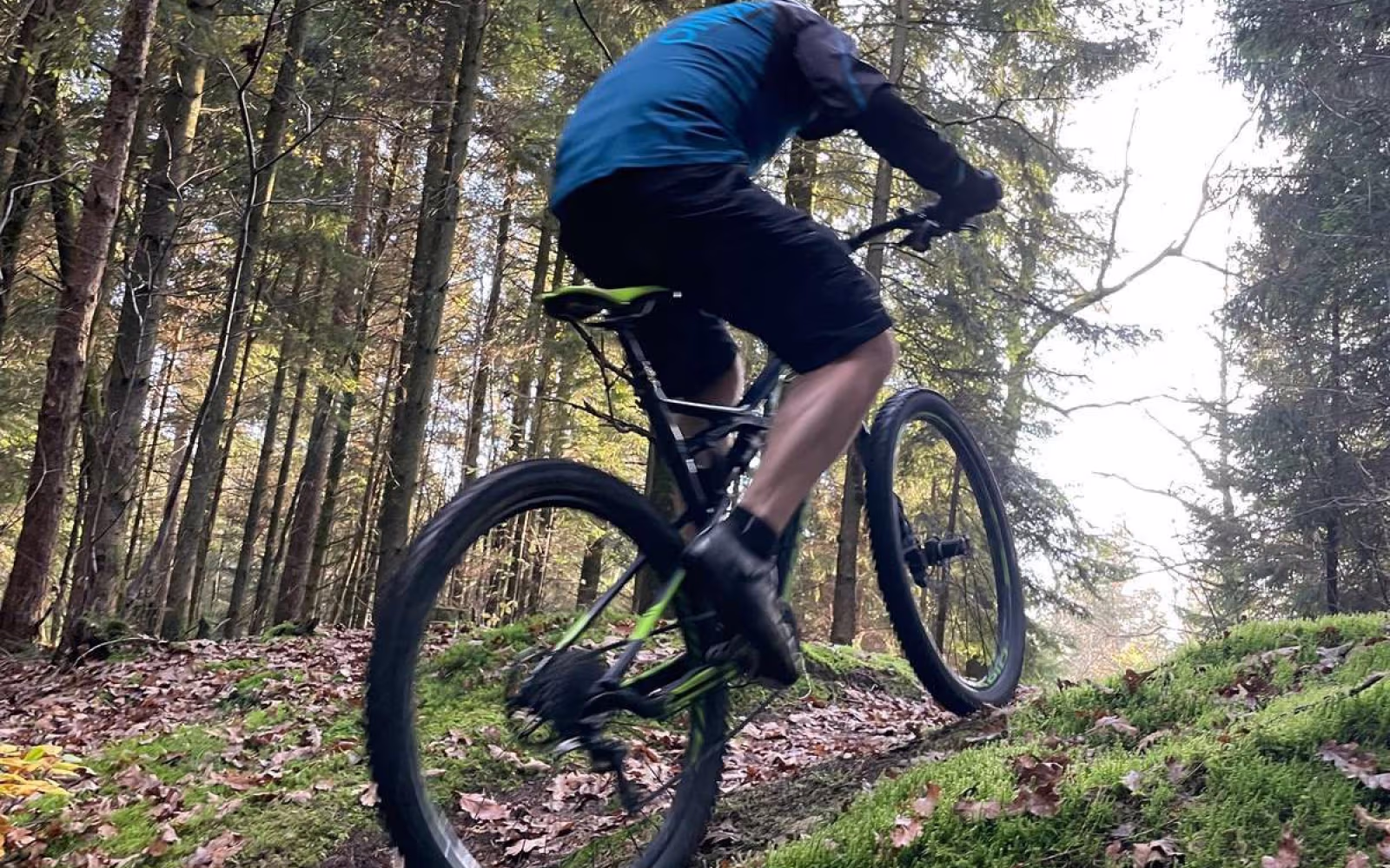 Ansager - Rød MTB rute
