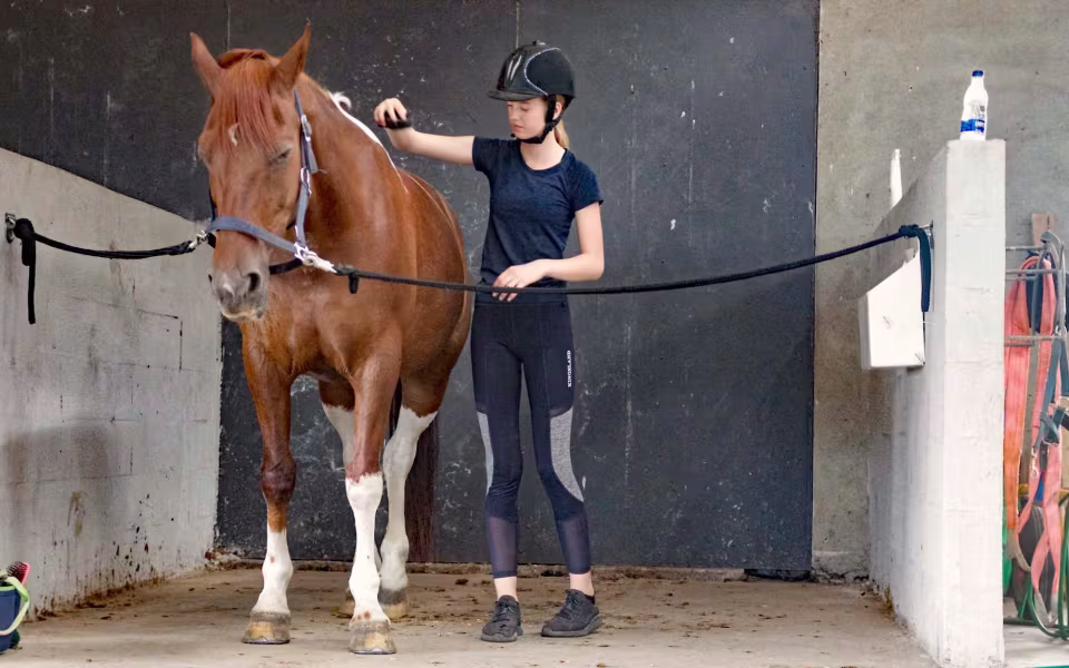 Solen skinner over RIKA’s ridelejr