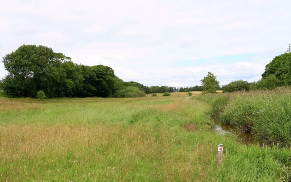 Hornes Vikingelund et paradis
