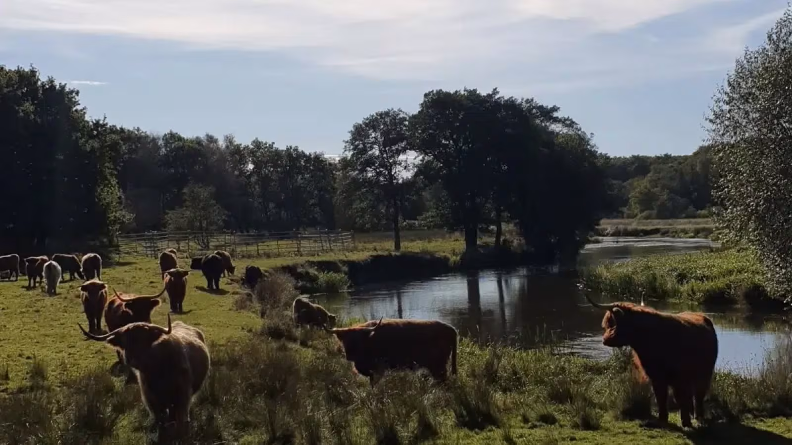 Del billede for ÅRSMØDE DN VARDE - Nørholm Vildmark