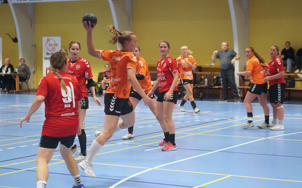 SA Ribe HK mod Lemvig 28-15 i Skovlund-Ansager Hallen