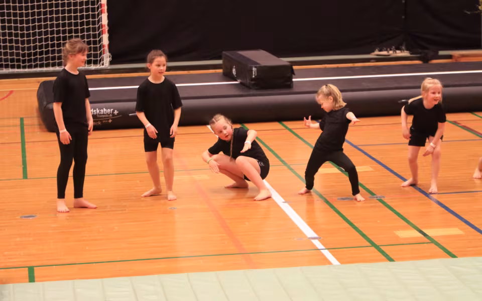 Springfiduserne Stråler ved Forårsopvisning