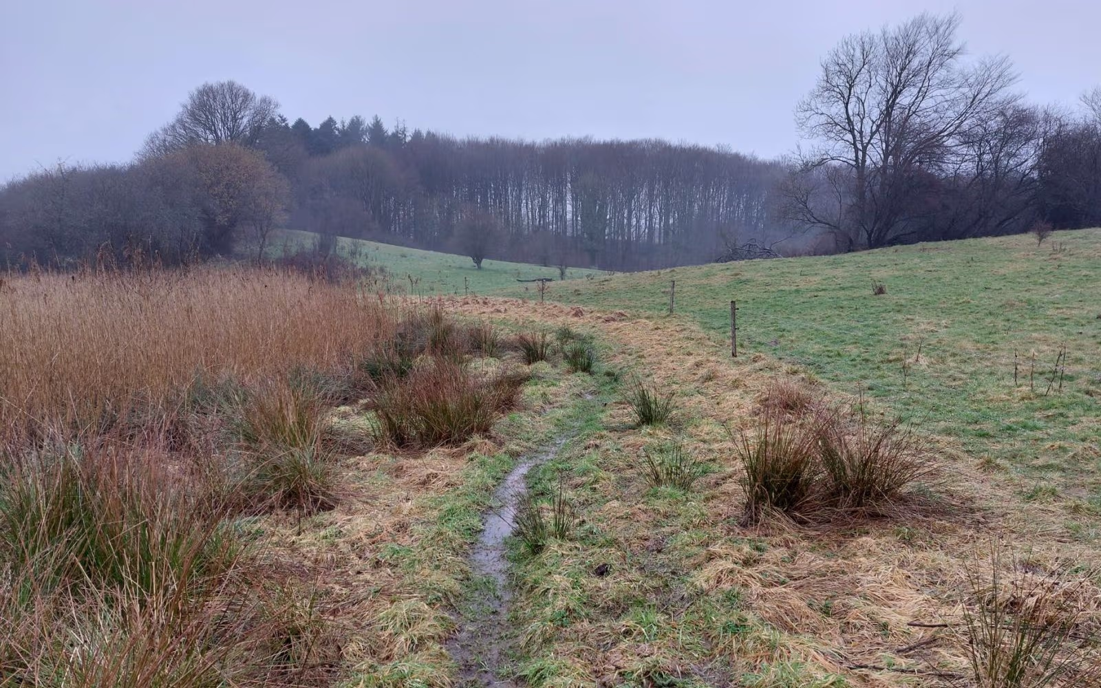 Blå rute i Vejle Ådal ved Tørskind