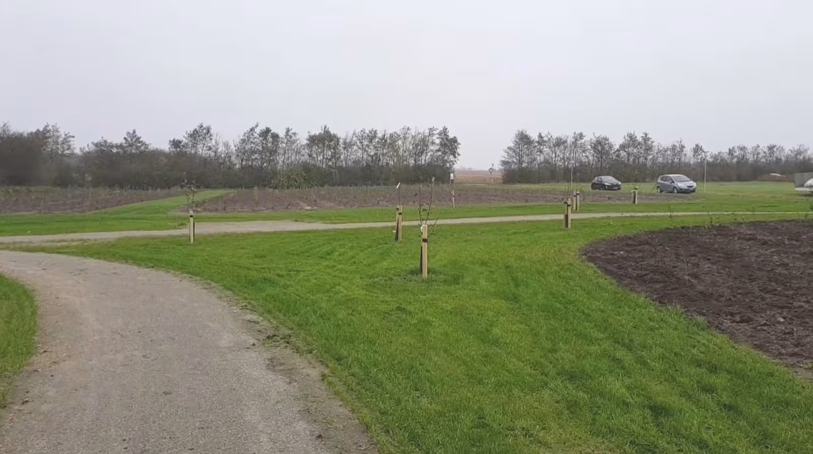 Plante træer i den nye Tistrup Byskov