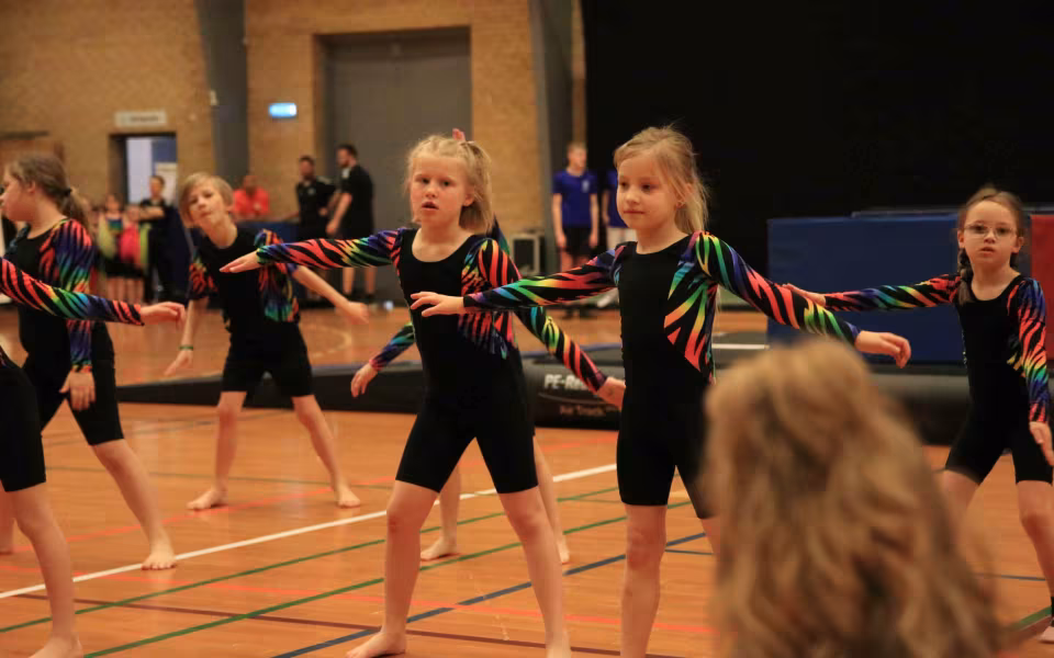 Stor succes ved DGI's opvisning