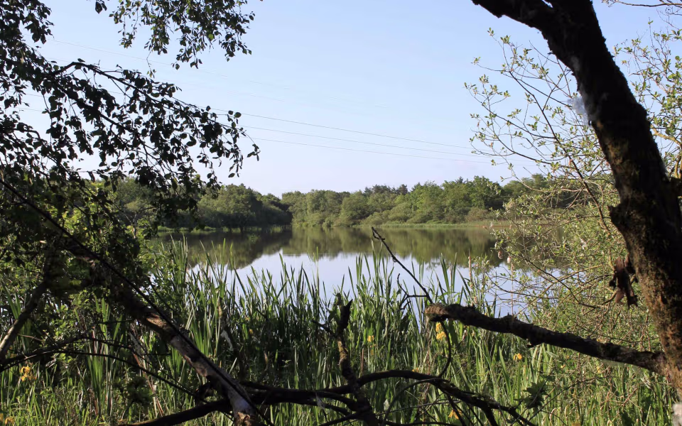 Morgenro ved Karlsgårde Sø