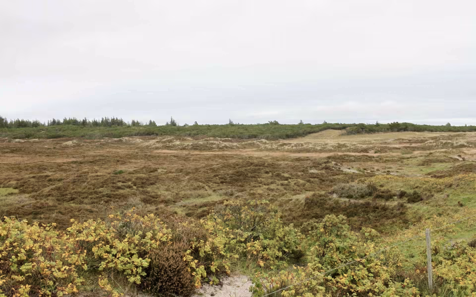 På vandring gennem sandets historie
