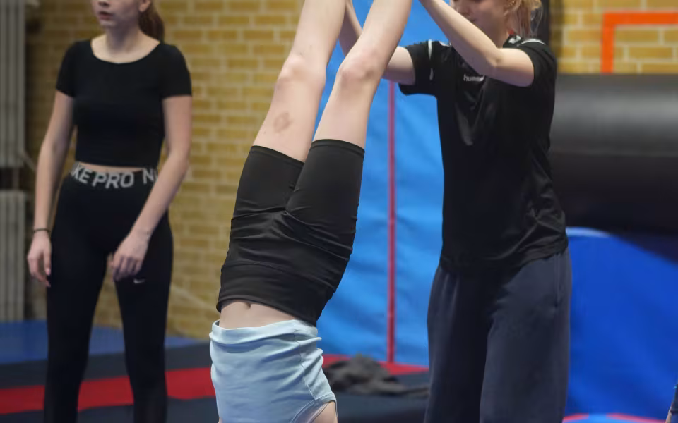 Holdet af Mini og Mega Mix gymnaster samlet, afspejler fællesskabets styrke. Sammen har de delt oplevelser, udfordringer og succeser, hvilket har styrket deres samhørighed og teamånd