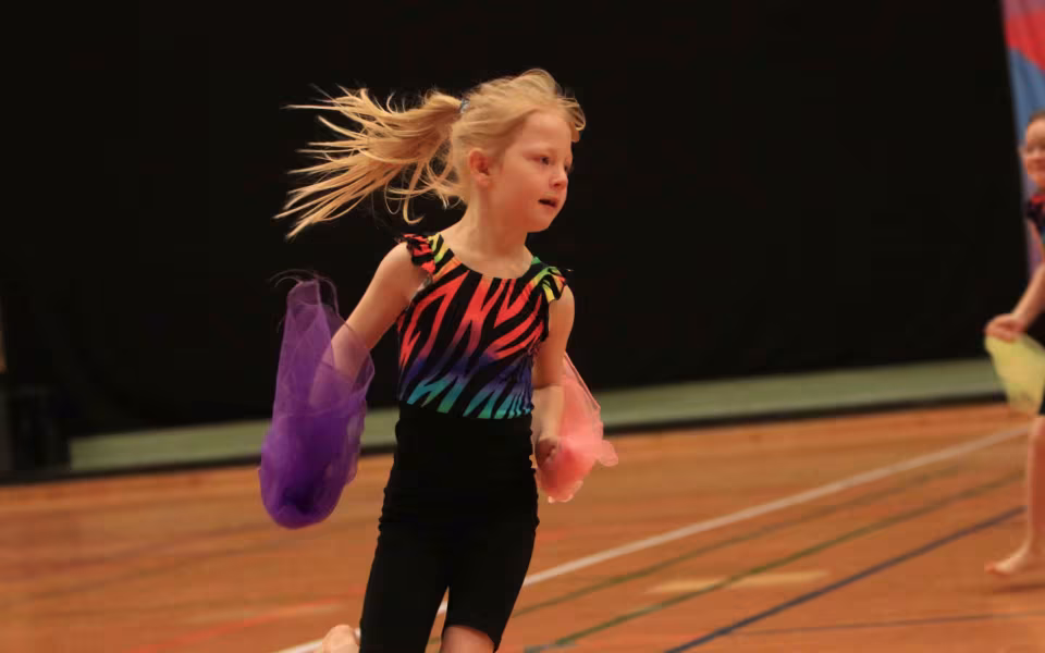 Stor succes ved DGI's opvisning