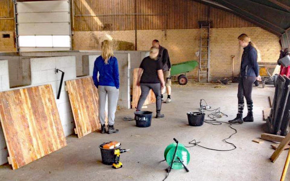 Arbejdsdag på RIKA den 16. juni 2018