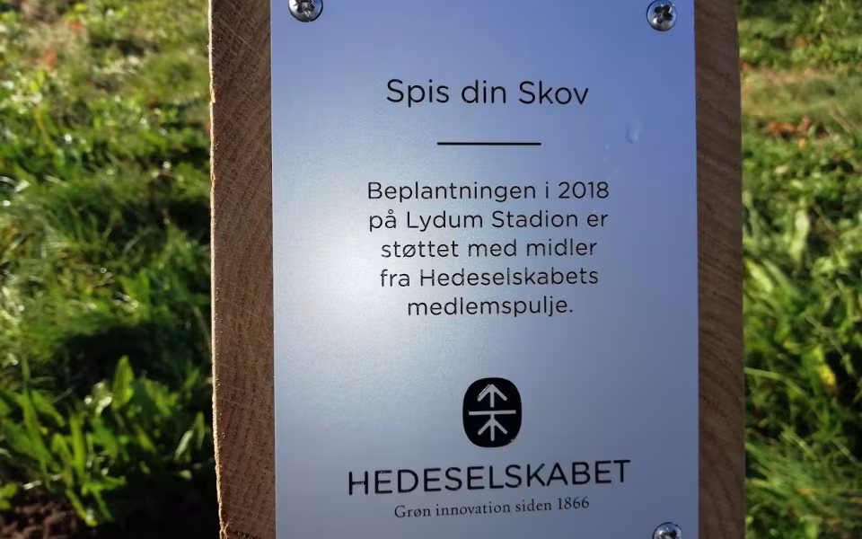 Spis din Skov