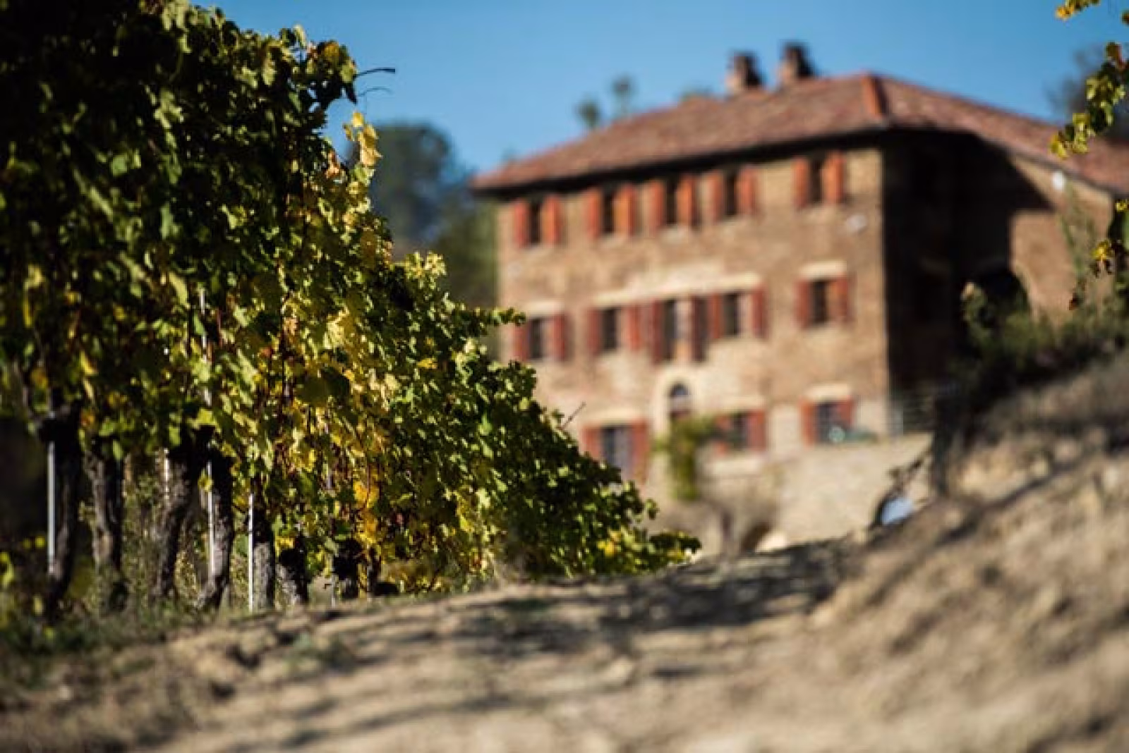 Smagen af Piemonte i Ansager