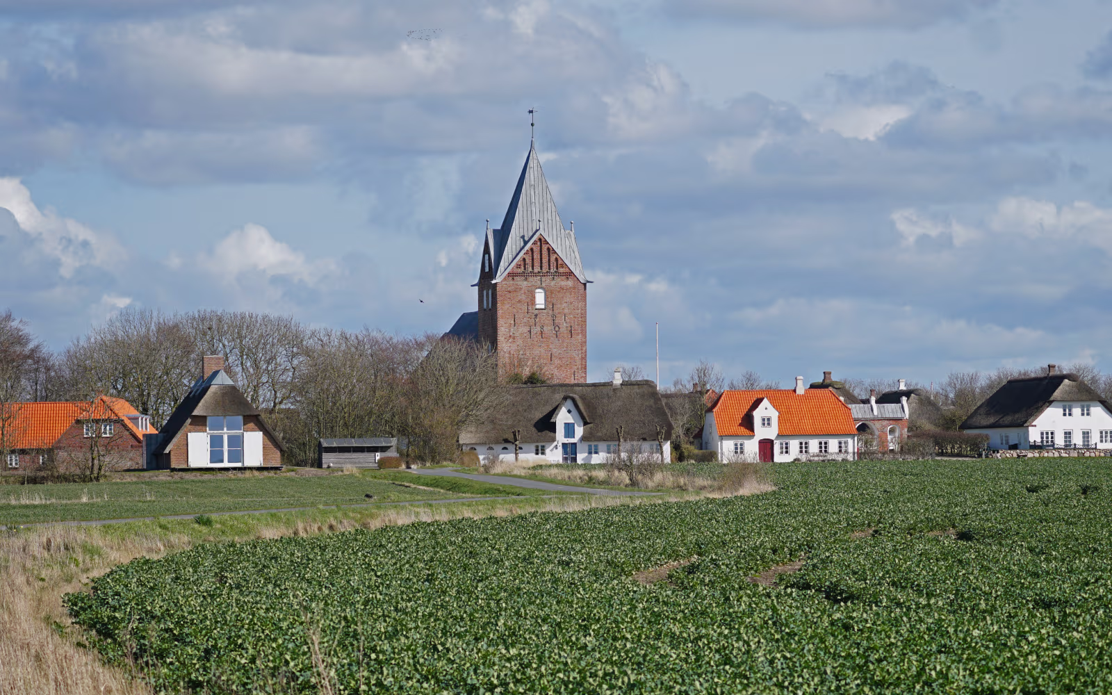 Ballum Kirkes tårn over landsbyhuse og grønne marker under skyet himmel
