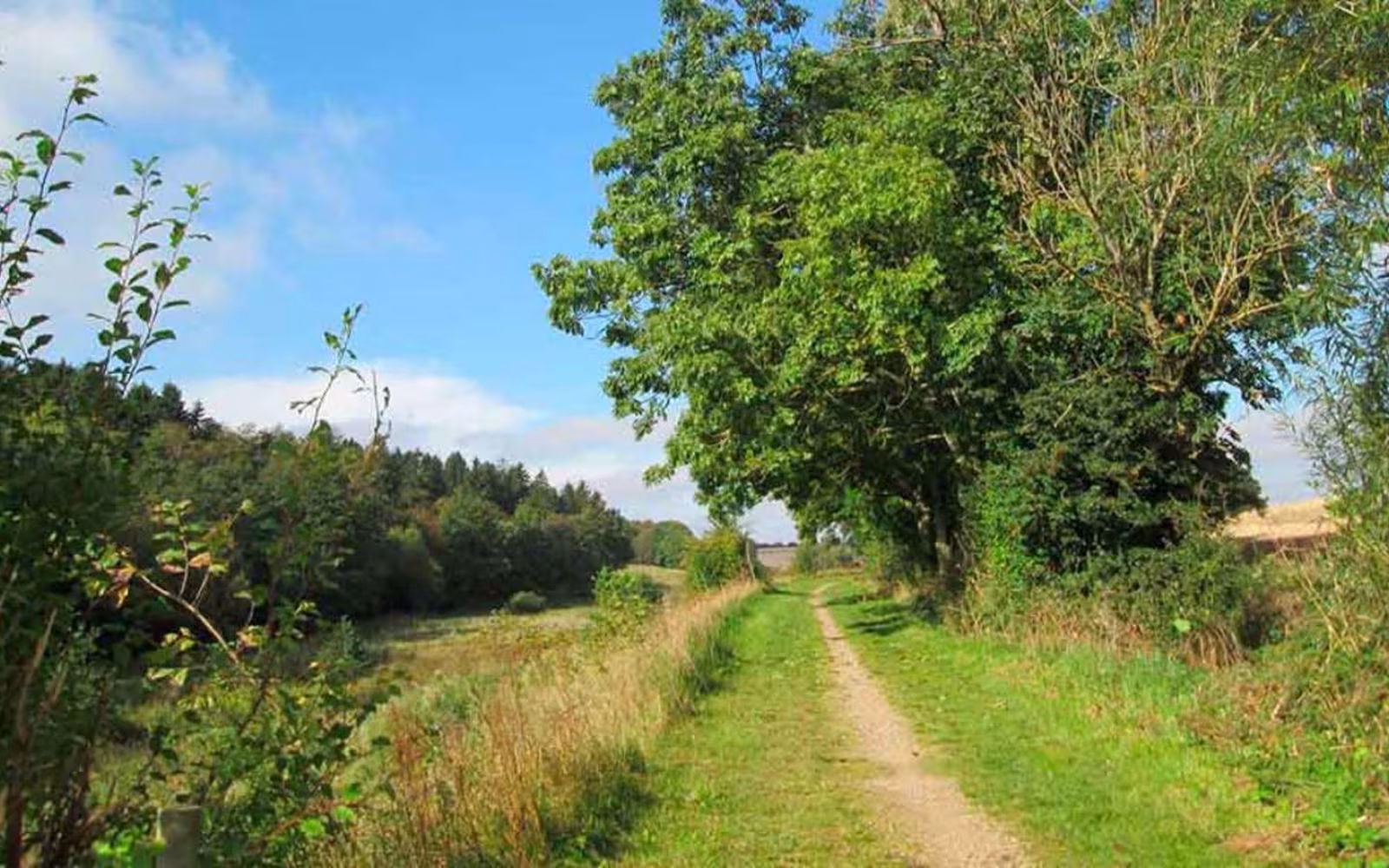 Ad den gamle bane (32 km)
