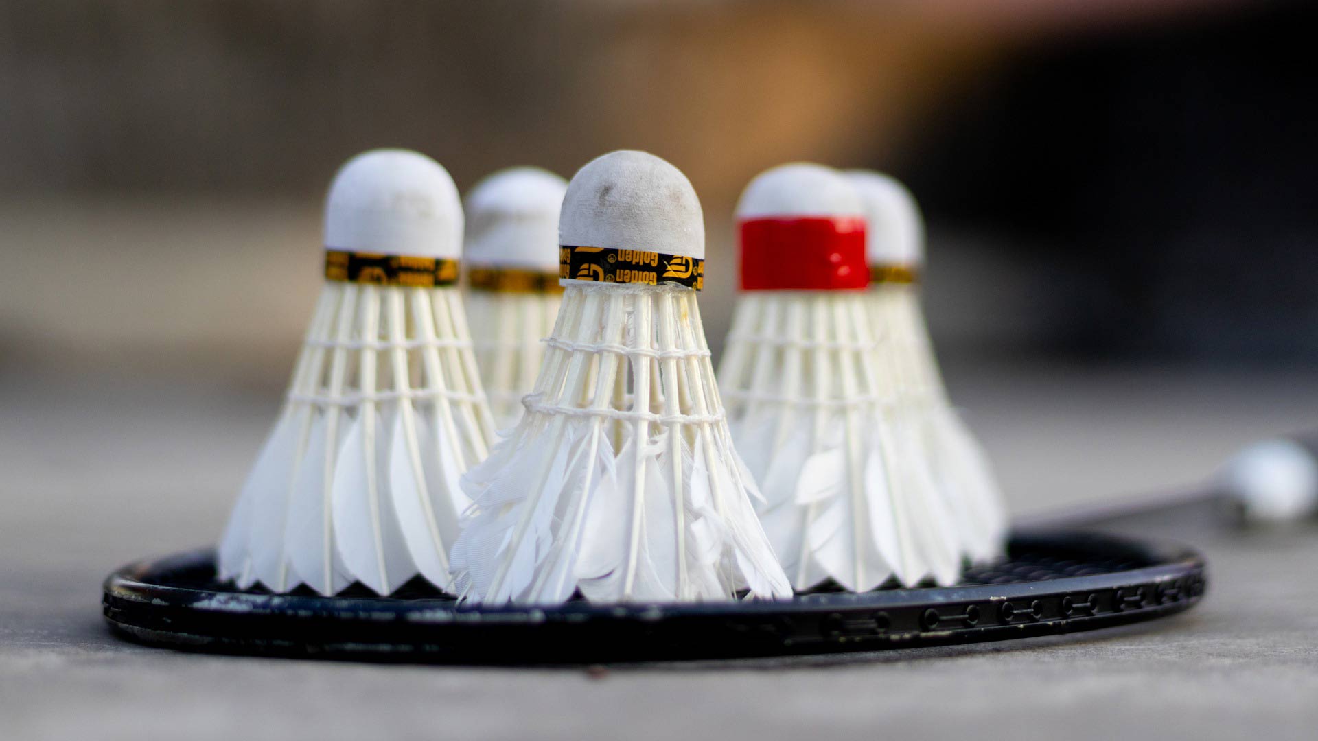 Opstart af badminton for børn og motionister