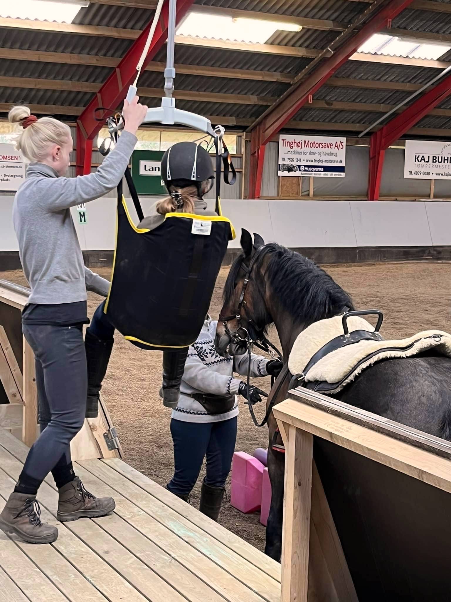 Åbningsreception i ridefysioterapi
