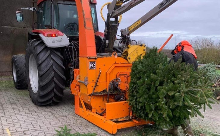 Juletræer bliver til flis på Ansager Varmeværk