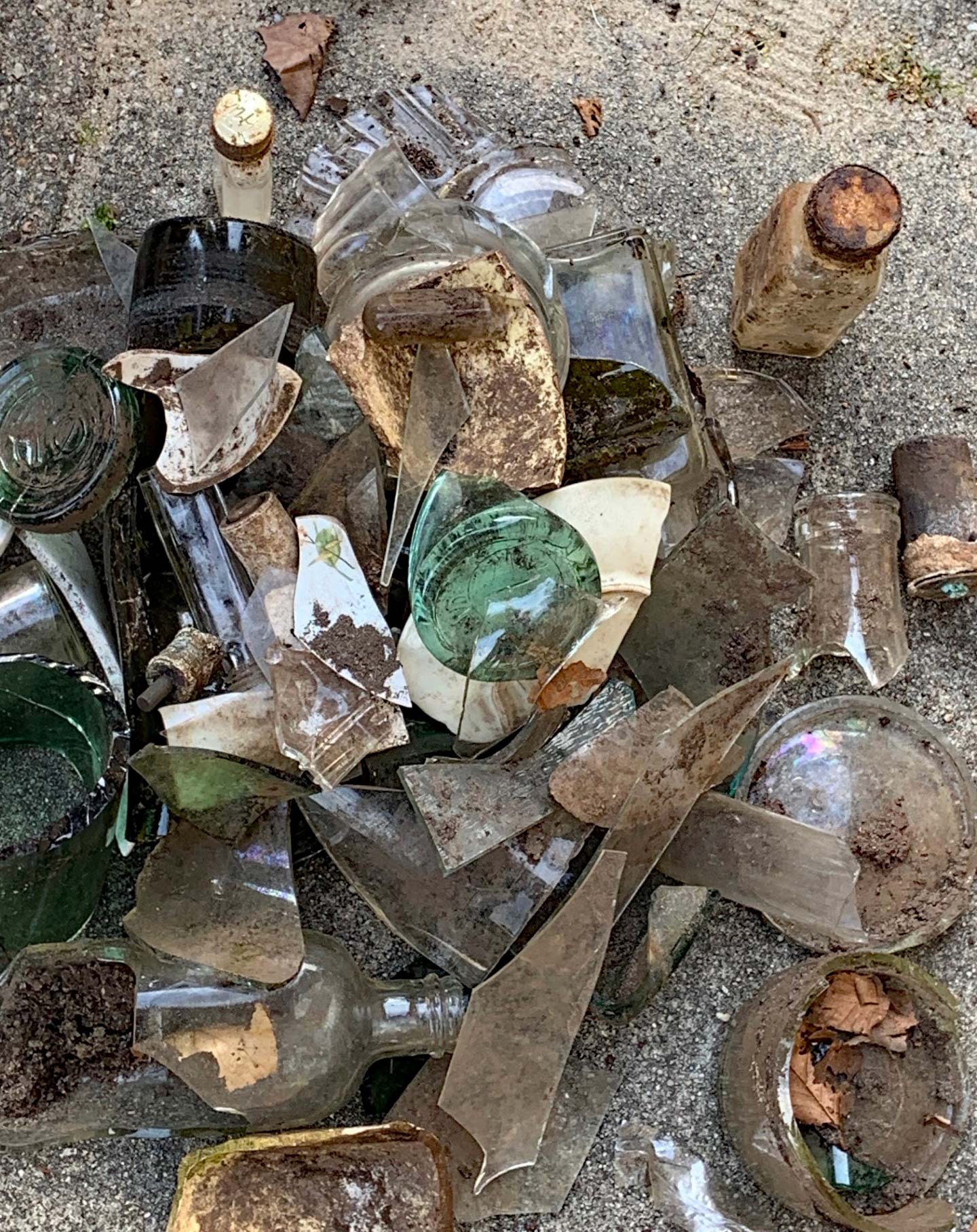 Affald samlet i skoven og på Kanalvej