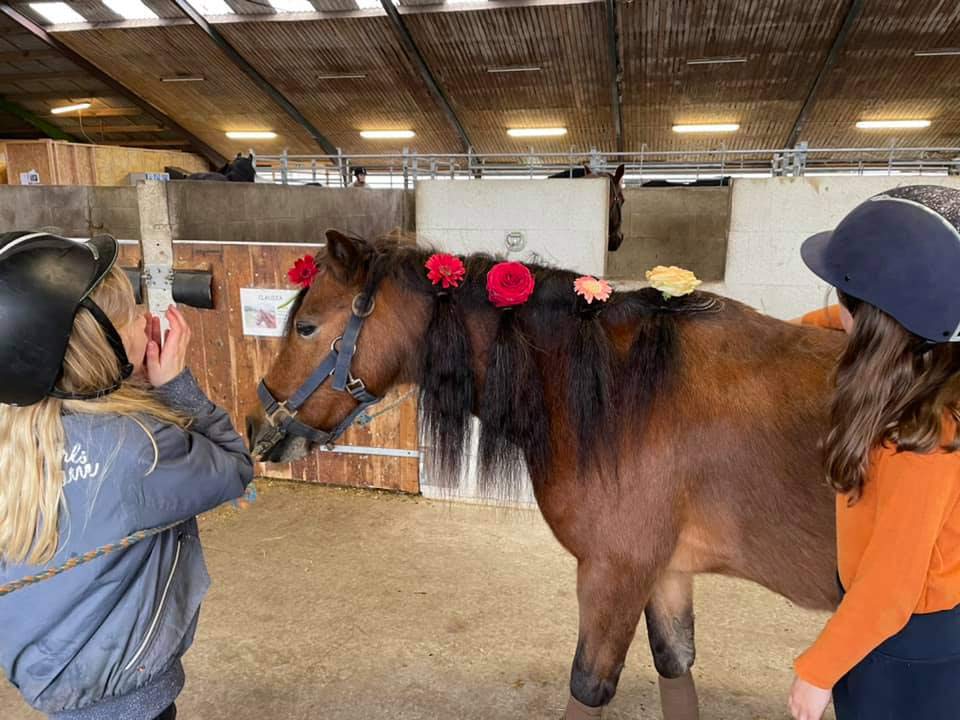Ponyhygge i Rideklubben Ansager