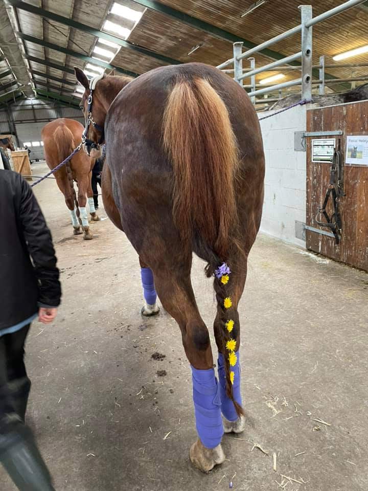 Ponyhygge i Rideklubben Ansager