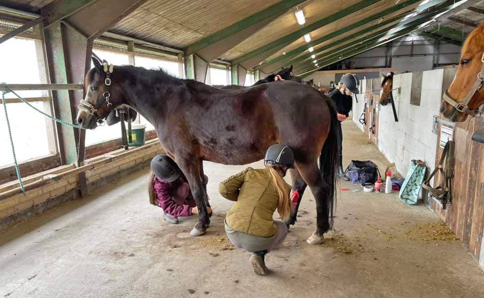 Ponyhygge i Rideklubben Ansager