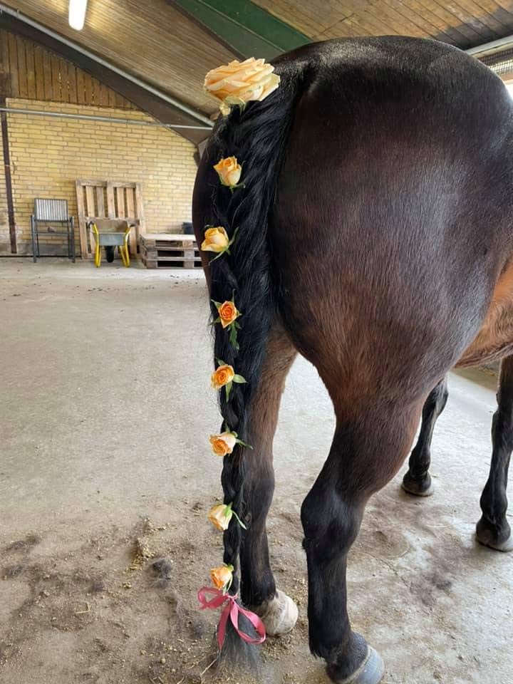 Ponyhygge i Rideklubben Ansager