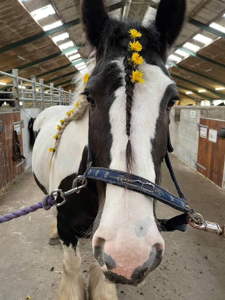 Ponyhygge i Rideklubben Ansager