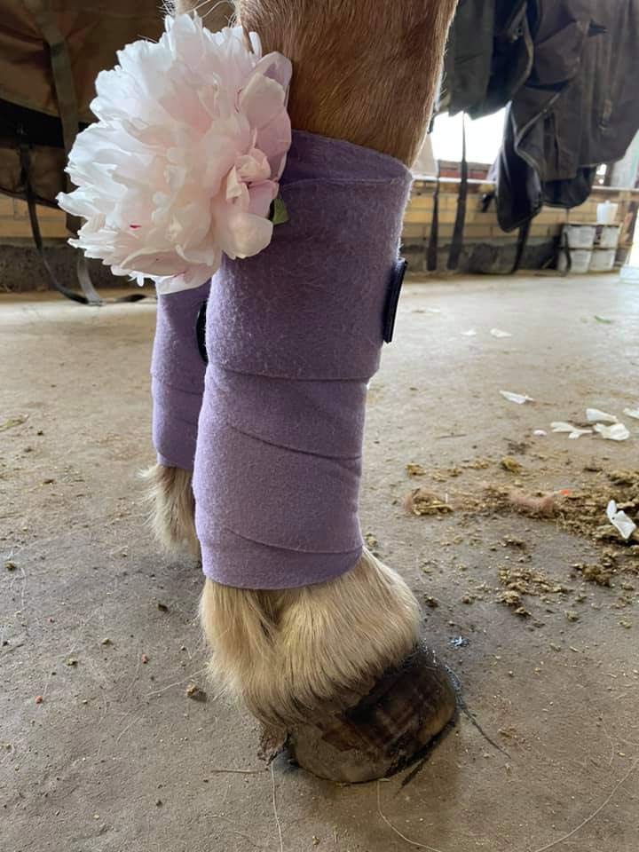 Ponyhygge i Rideklubben Ansager