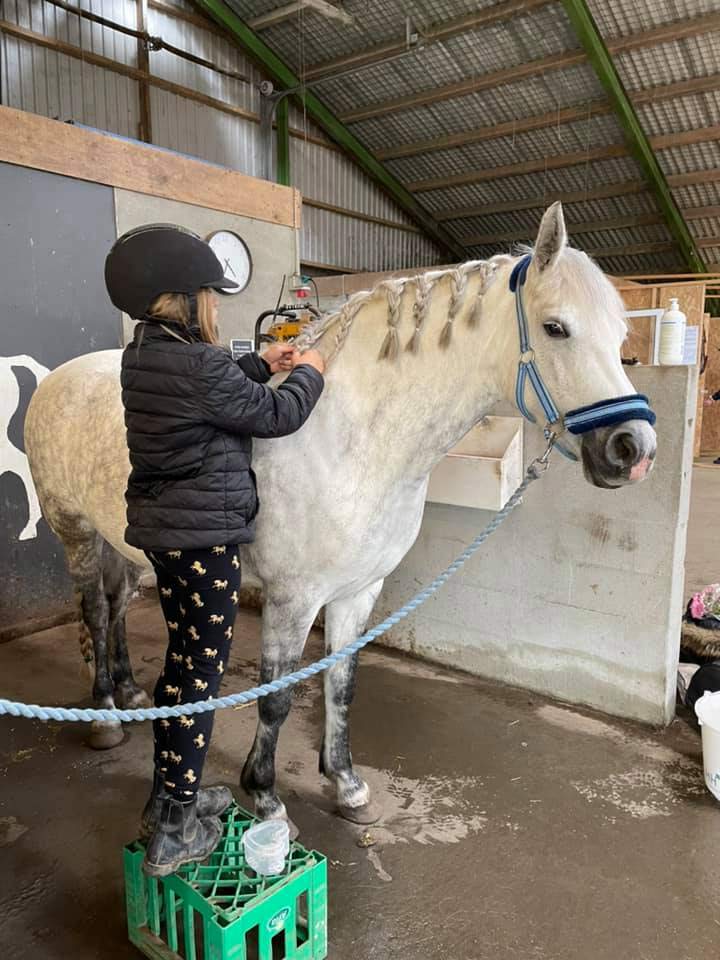 Ponyhygge i Rideklubben Ansager