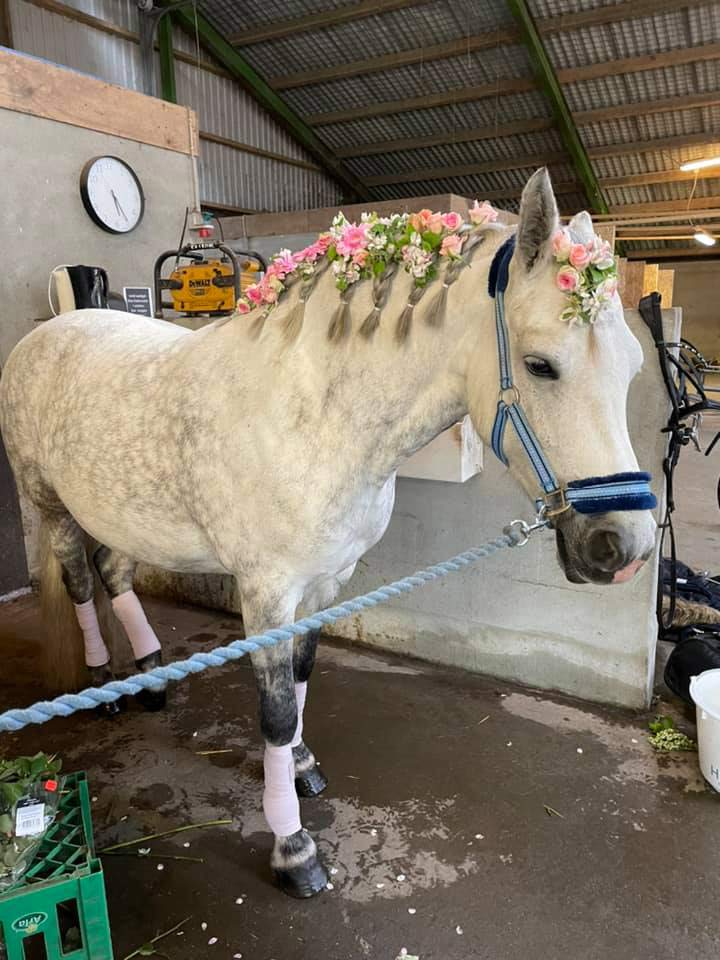 Ponyhygge i Rideklubben Ansager