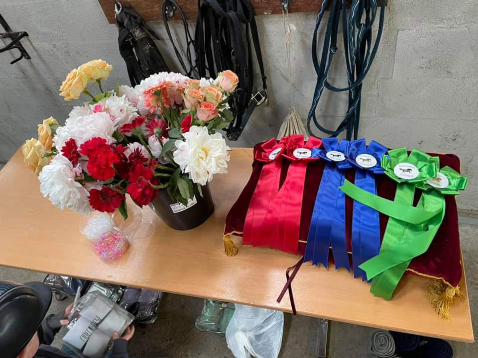 Ponyhygge i Rideklubben Ansager