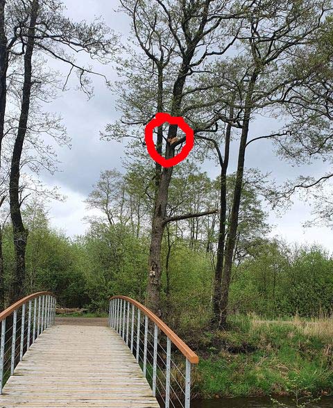Hvem hjælper mig ned
