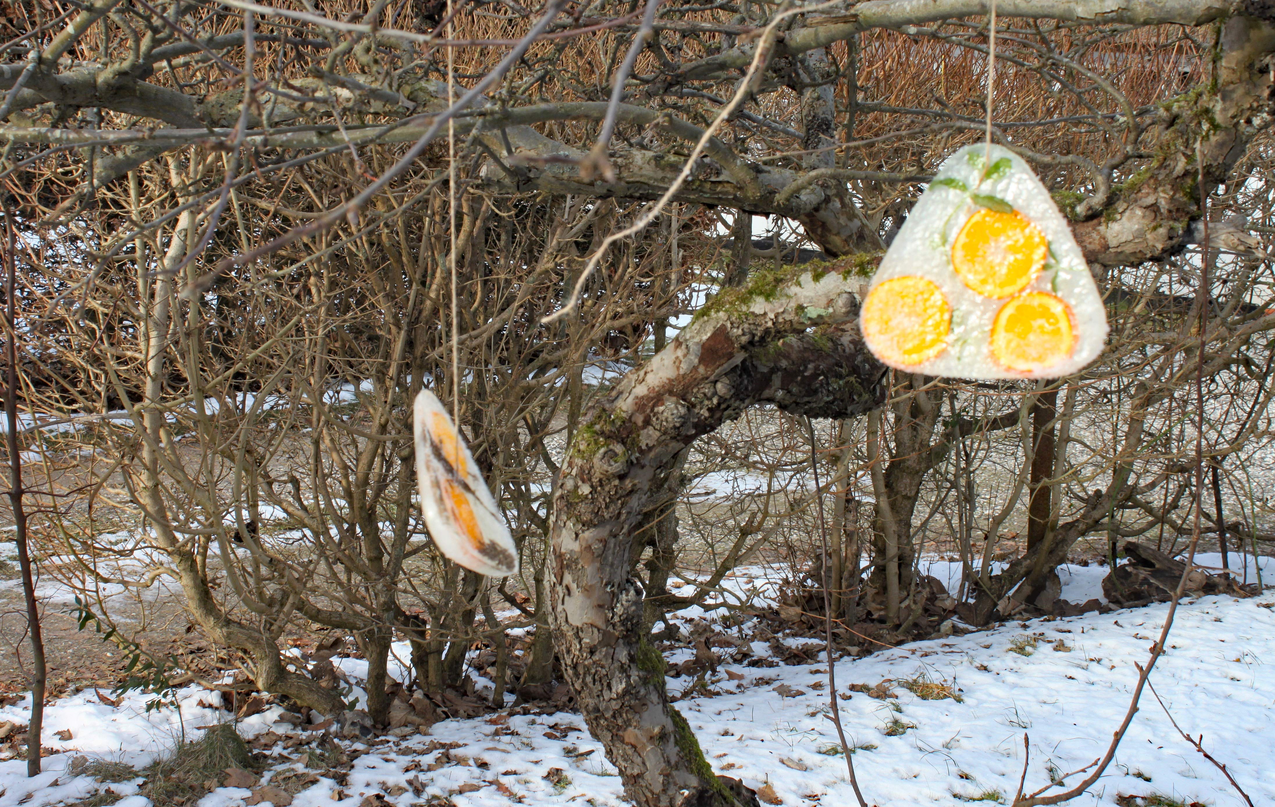 Frosten er perfekt til at lave lidt kunst til haven eller altanen og skabe is-uroer.