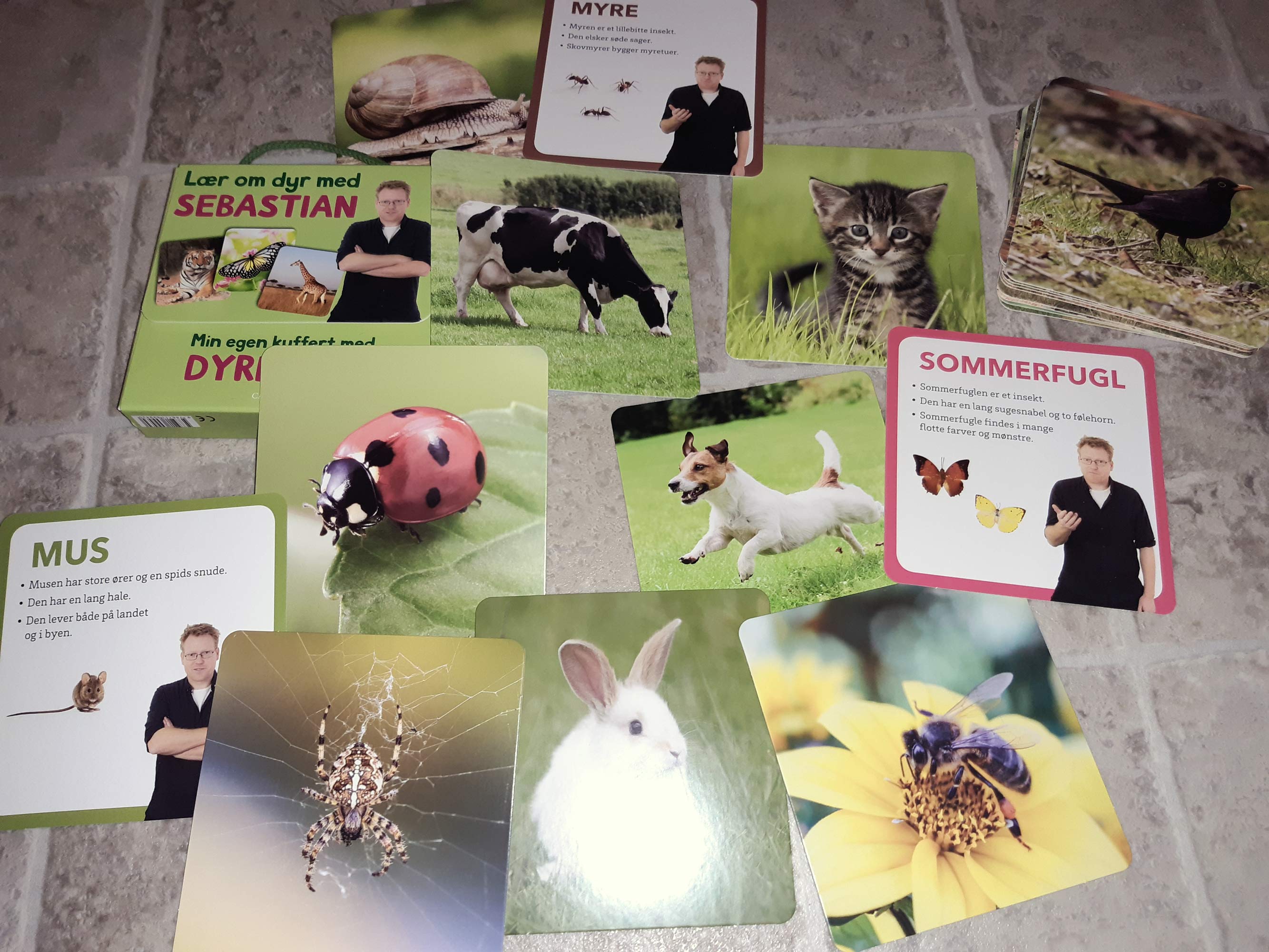Kreativitet i naturen