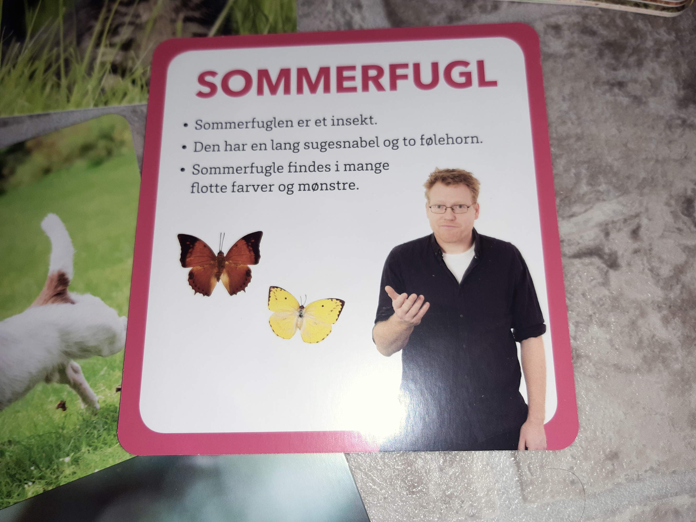 Kreativitet i naturen
