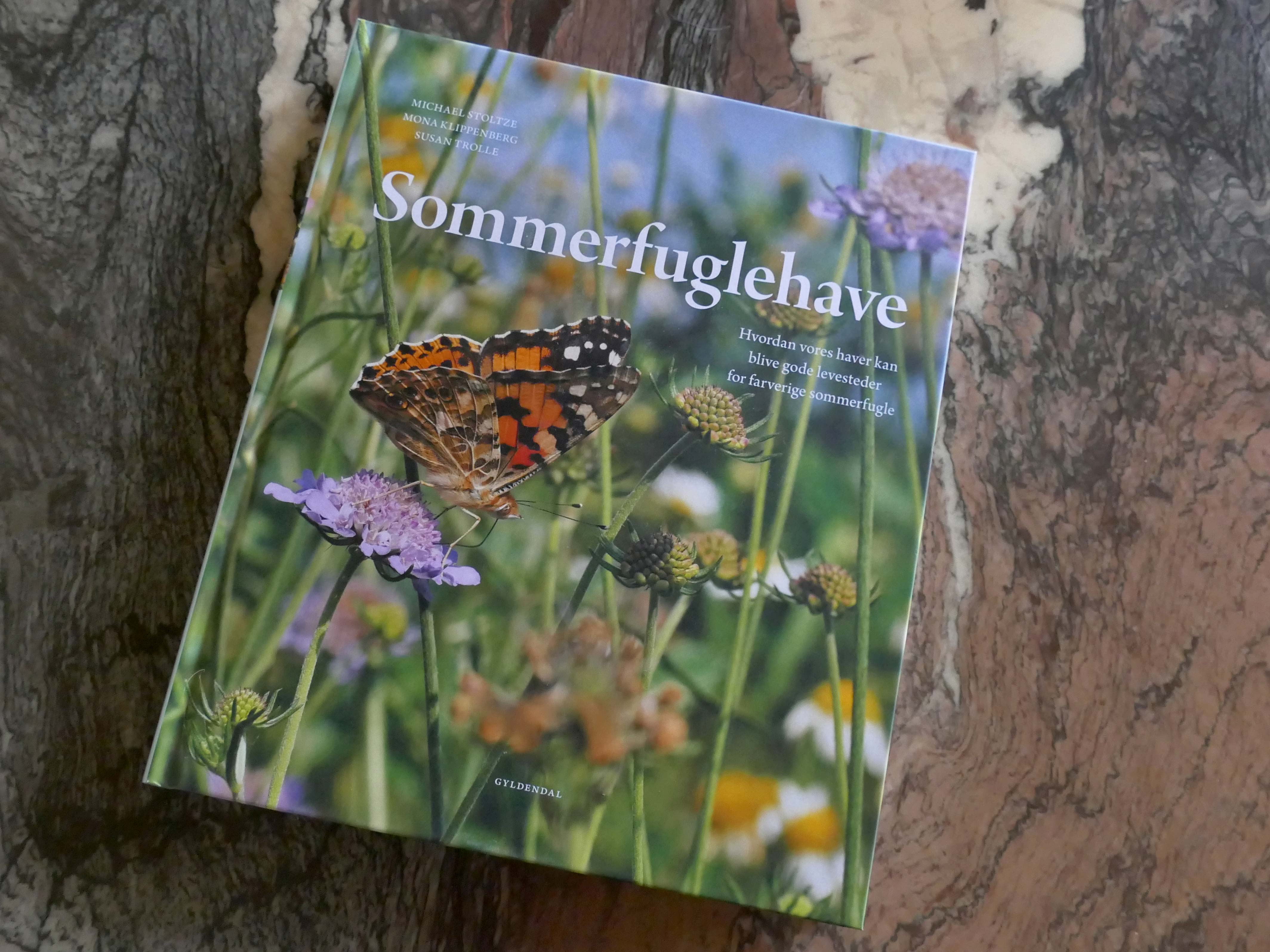Ønsker du at skabe gode livsbetingelser for sommerfugle i din have? Mange sommerfuglearter har det vanskeligt i den danske natur, og de behøver al den hjælp, de kan få for at overleve. Få inspiration til at skabe gode livsbetingelser i din egen have.